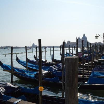 08 09 2014 Venise