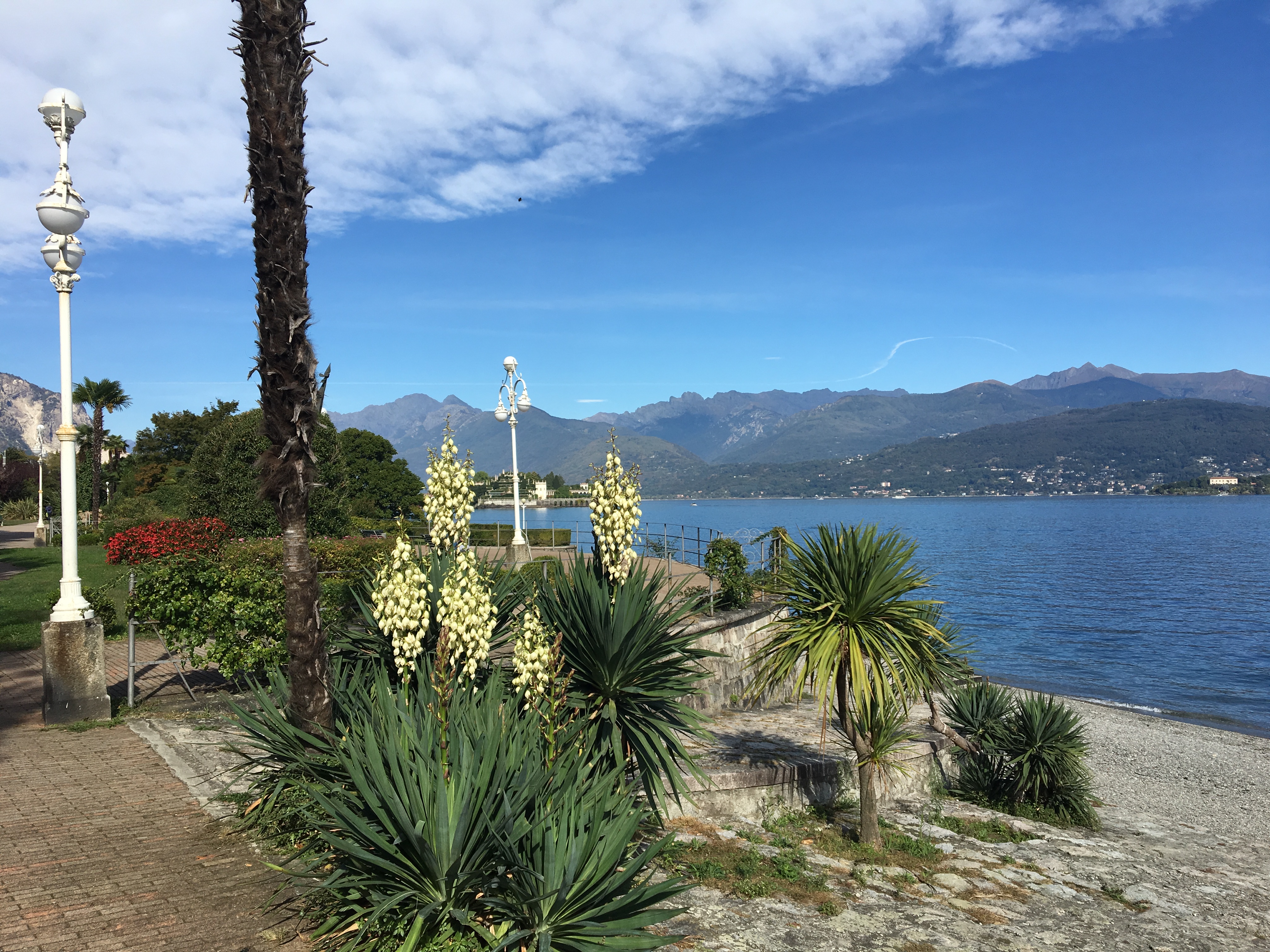 16 02-09 Stresa   (4)