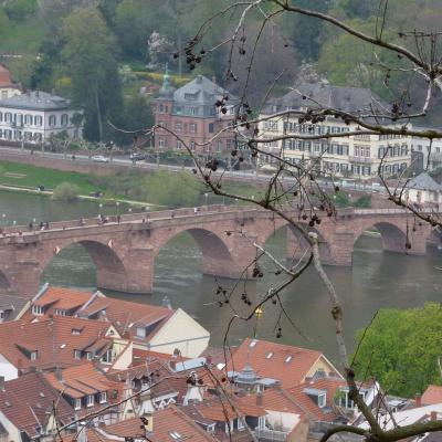  Heidelberg