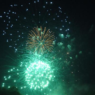 2013 - 13 juillet Les feux (2)