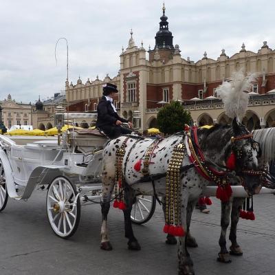 2015  Cracovie - Place du Grand Marché