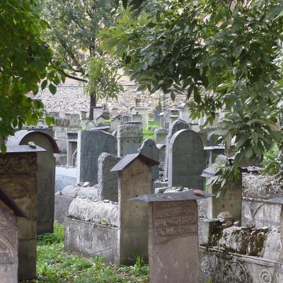 2015  Cracovie La synagogue Remuh