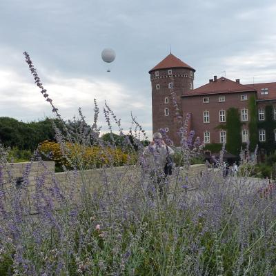2015  Cracovie Le Château Royal de Wawel