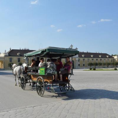 2015 - Château de Schoenbrunn