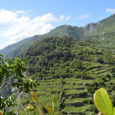 Corniglia