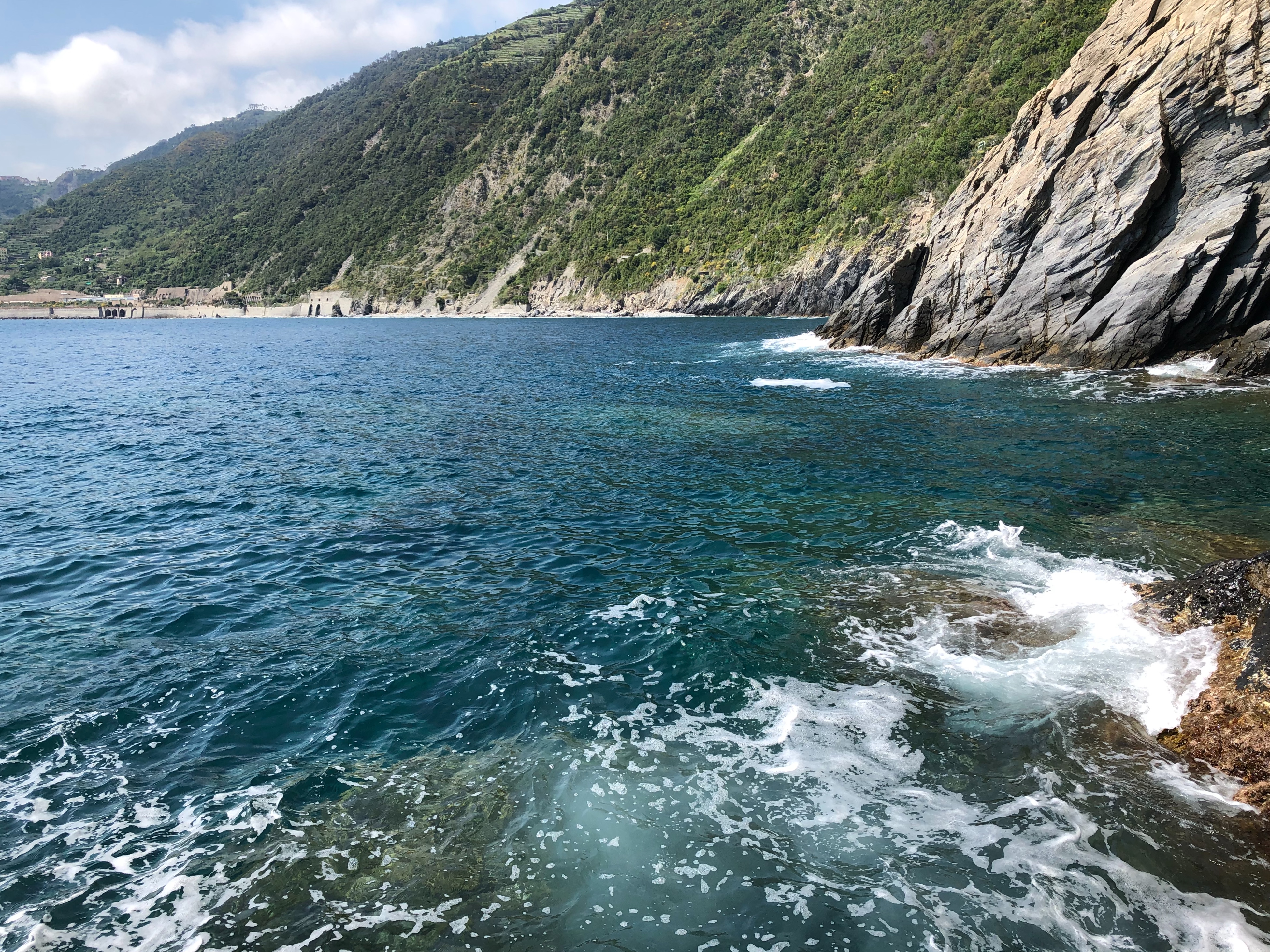4 Juin 2019 - Lerici 5Terre (27)
