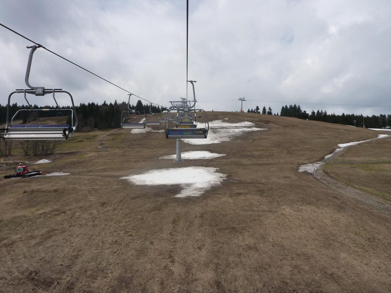 Zeleniec