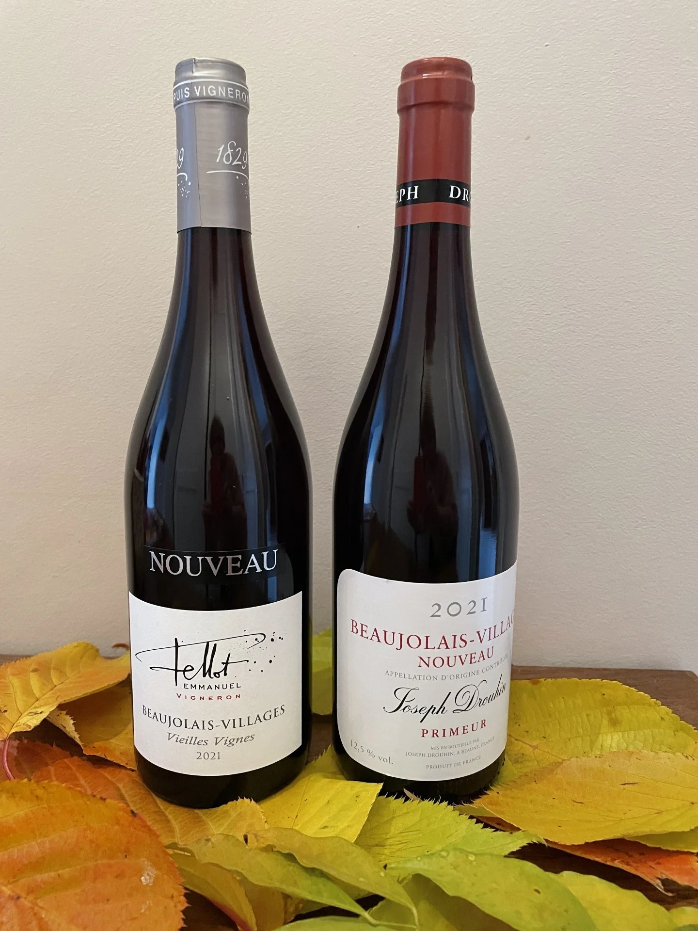 Beaujolais Nouveau
