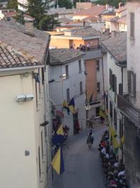 2010 Course des anes